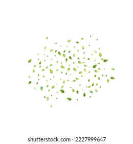 Leaves Green Falling. Spring Flying Foliage. Chaotic Leaf On White Background. Ecology Design, Nature Elements. Spring Sale Vector Illustration. Greenery Environment Backdrop.