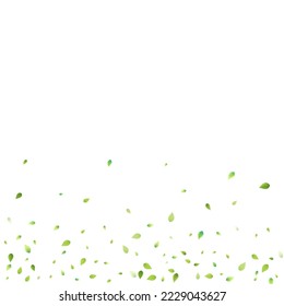 Leaves Green Falling. Spring Flying Foliage. Chaotic Leaf On White Background. Ecology Design, Nature Elements. Spring Sale Vector Illustration. Greenery Environment Backdrop.