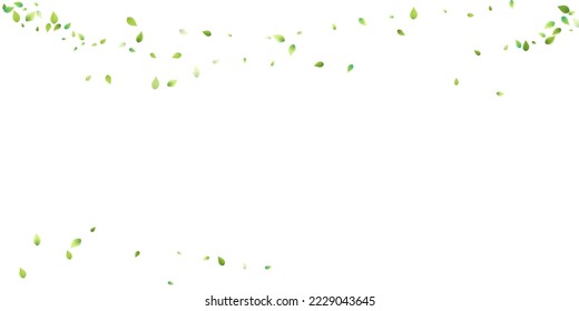 Leaves Green Falling. Spring Flying Foliage. Chaotic Leaf On White Background. Ecology Design, Nature Elements. Spring Sale Vector Illustration. Greenery Environment Backdrop.