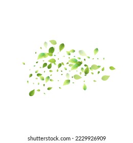 Leaves Green Falling. Spring Flying Foliage. Chaotic Leaf On White Background. Ecology Design, Nature Elements. Spring Sale Vector Illustration. Greenery Environment Backdrop.