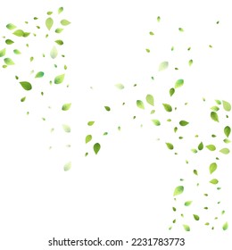 Leaves Green Falling. Spring Flying Foliage. Chaotic Leaf On White Background. Ecology Design, Nature Elements. Spring Sale Vector Illustration. Greenery Environment Backdrop.