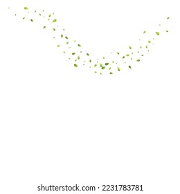 Leaves Green Falling. Spring Flying Foliage. Chaotic Leaf On White Background. Ecology Design, Nature Elements. Spring Sale Vector Illustration. Greenery Environment Backdrop.
