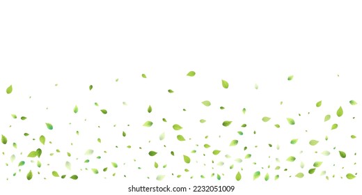 Leaves Green Falling. Spring Flying Foliage. Chaotic Leaf On White Background. Ecology Design, Nature Elements. Spring Sale Vector Illustration. Greenery Environment Backdrop.