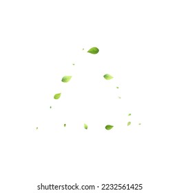 Leaves Green Falling. Spring Flying Foliage. Chaotic Leaf On White Background. Ecology Design, Nature Elements. Spring Sale Vector Illustration. Greenery Environment Backdrop.