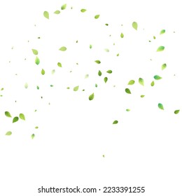 Leaves Green Falling. Spring Flying Foliage. Chaotic Leaf On White Background. Ecology Design, Nature Elements. Spring Sale Vector Illustration. Greenery Environment Backdrop.