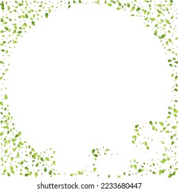 Leaves Green Falling. Spring Flying Foliage. Chaotic Leaf On White Background. Ecology Design, Nature Elements. Spring Sale Vector Illustration. Greenery Environment Backdrop.