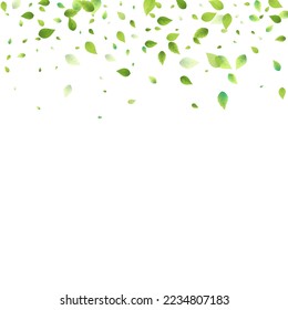 Deja La Caída Verde. Foliage volador de primavera. Hoja Caótica Sobre Fondo Blanco. Diseño ecológico, elementos naturales. Ilustración de vectores de venta de primavera. Entorno verde