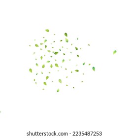 Leaves Green Falling. Spring Flying Foliage. Chaotic Leaf On White Background. Ecology Design, Nature Elements. Spring Sale Vector Illustration. Greenery Environment Backdrop.