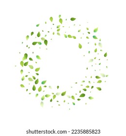 Leaves Green Falling. Spring Flying Foliage. Chaotic Leaf On White Background. Ecology Design, Nature Elements. Spring Sale Vector Illustration. Greenery Environment Backdrop.