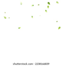 Leaves Green Falling. Spring Flying Foliage. Chaotic Leaf On White Background. Ecology Design, Nature Elements. Spring Sale Vector Illustration. Greenery Environment Backdrop.