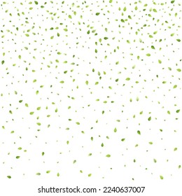 Leaves Green Falling. Spring Flying Foliage. Chaotic Leaf On White Background. Ecology Design, Nature Elements. Spring Sale Vector Illustration. Greenery Environment Backdrop.