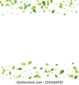 Leaves Green Falling. Spring Flying Foliage. Chaotic Leaf On White Background. Ecology Design, Nature Elements. Spring Sale Vector Illustration. Greenery Environment Backdrop.