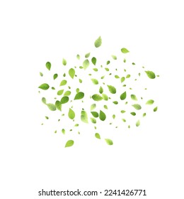 Deja La Caída Verde. Foliage volador de primavera. Hoja Caótica Sobre Fondo Blanco. Diseño ecológico, elementos naturales. Ilustración de vectores de venta de primavera. Entorno verde