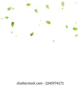 Leaves Green Falling. Spring Flying Foliage. Chaotic Leaf On White Background. Ecology Design, Nature Elements. Spring Sale Vector Illustration. Greenery Environment Backdrop.