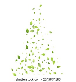 Leaves Green Falling. Spring Flying Foliage. Chaotic Leaf On White Background. Ecology Design, Nature Elements. Spring Sale Vector Illustration. Greenery Environment Backdrop.