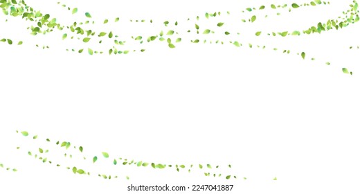 Deja La Caída Verde. Foliage volador de primavera. Hoja Caótica Sobre Fondo Blanco. Diseño ecológico, elementos naturales. Ilustración de vectores de venta de primavera. Entorno verde