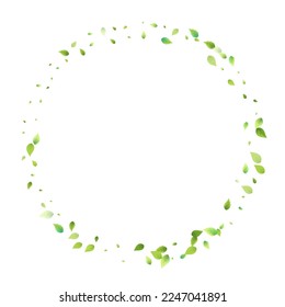 Leaves Green Falling. Spring Flying Foliage. Chaotic Leaf On White Background. Ecology Design, Nature Elements. Spring Sale Vector Illustration. Greenery Environment Backdrop.
