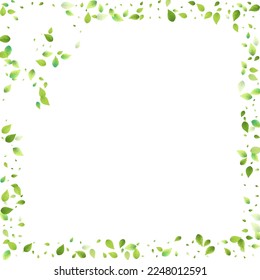 Leaves Green Falling. Spring Flying Foliage. Chaotic Leaf On White Background. Ecology Design, Nature Elements. Spring Sale Vector Illustration. Greenery Environment Backdrop.