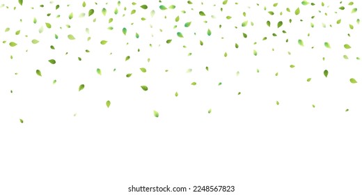 Leaves Green Falling. Spring Flying Foliage. Chaotic Leaf On White Background. Ecology Design, Nature Elements. Spring Sale Vector Illustration. Greenery Environment Backdrop.