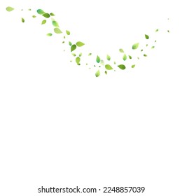 Leaves Green Falling. Spring Flying Foliage. Chaotic Leaf On White Background. Ecology Design, Nature Elements. Spring Sale Vector Illustration. Greenery Environment Backdrop.