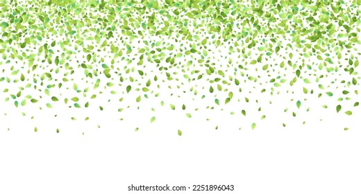 Leaves Green Falling. Spring Flying Foliage. Chaotic Leaf On White Background. Ecology Design, Nature Elements. Spring Sale Vector Illustration. Greenery Environment Backdrop.