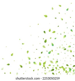 Leaves Green Falling. Spring Flying Foliage. Chaotic Leaf On White Background. Ecology Design, Nature Elements. Spring Sale Vector Illustration. Greenery Environment Backdrop.