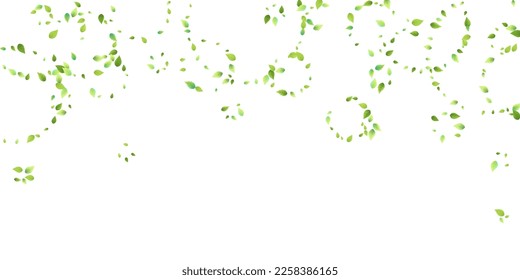 Deja La Caída Verde. Foliage volador de primavera. Hoja Caótica Sobre Fondo Blanco. Diseño ecológico, elementos naturales. Ilustración de vectores de venta de primavera. Entorno verde