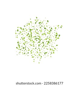 Leaves Green Falling. Spring Flying Foliage. Chaotic Leaf On White Background. Ecology Design, Nature Elements. Spring Sale Vector Illustration. Greenery Environment Backdrop.
