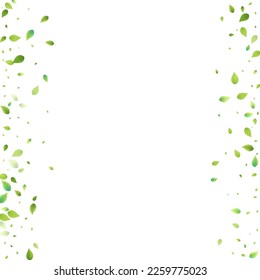 Leaves Green Falling. Spring Flying Foliage. Chaotic Leaf On White Background. Ecology Design, Nature Elements. Spring Sale Vector Illustration. Greenery Environment Backdrop.