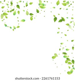 Leaves Green Falling. Spring Flying Foliage. Chaotic Leaf On White Background. Ecology Design, Nature Elements. Spring Sale Vector Illustration. Greenery Environment Backdrop.