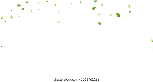 Deja La Caída Verde. Foliage volador de primavera. Hoja Caótica Sobre Fondo Blanco. Diseño ecológico, elementos naturales. Ilustración de vectores de venta de primavera. Entorno verde