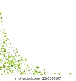 Leaves Green Falling. Spring Flying Foliage. Chaotic Leaf On White Background. Ecology Design, Nature Elements. Spring Sale Vector Illustration. Greenery Environment Backdrop.