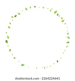 Leaves Green Falling. Spring Flying Foliage. Chaotic Leaf On White Background. Ecology Design, Nature Elements. Spring Sale Vector Illustration. Greenery Environment Backdrop.