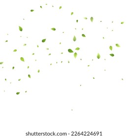 Leaves Green Falling. Spring Flying Foliage. Chaotic Leaf On White Background. Ecology Design, Nature Elements. Spring Sale Vector Illustration. Greenery Environment Backdrop.