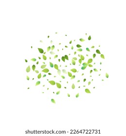 Leaves Green Falling. Spring Flying Foliage. Chaotic Leaf On White Background. Ecology Design, Nature Elements. Spring Sale Vector Illustration. Greenery Environment Backdrop.