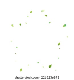 Leaves Green Falling. Spring Flying Foliage. Chaotic Leaf On White Background. Ecology Design, Nature Elements. Spring Sale Vector Illustration. Greenery Environment Backdrop.
