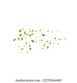 Leaves Green Falling. Spring Flying Foliage. Chaotic Leaf On White Background. Ecology Design, Nature Elements. Spring Sale Vector Illustration. Greenery Environment Backdrop.