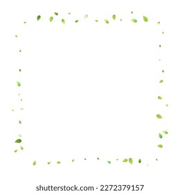 Leaves Green Falling. Spring Flying Foliage. Chaotic Leaf On White Background. Ecology Design, Nature Elements. Spring Sale Vector Illustration. Greenery Environment Backdrop.