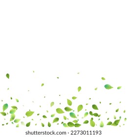 Leaves Green Falling. Spring Flying Foliage. Chaotic Leaf On White Background. Ecology Design, Nature Elements. Spring Sale Vector Illustration. Greenery Environment Backdrop.