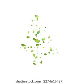 Leaves Green Falling. Spring Flying Foliage. Chaotic Leaf On White Background. Ecology Design, Nature Elements. Spring Sale Vector Illustration. Greenery Environment Backdrop.