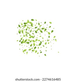 Leaves Green Falling. Spring Flying Foliage. Chaotic Leaf On White Background. Ecology Design, Nature Elements. Spring Sale Vector Illustration. Greenery Environment Backdrop.