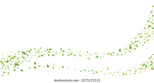 Leaves Green Falling. Spring Flying Foliage. Chaotic Leaf On White Background. Ecology Design, Nature Elements. Spring Sale Vector Illustration. Greenery Environment Backdrop.