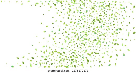 Deja La Caída Verde. Foliage volador de primavera. Hoja Caótica Sobre Fondo Blanco. Diseño ecológico, elementos naturales. Ilustración de vectores de venta de primavera. Entorno verde