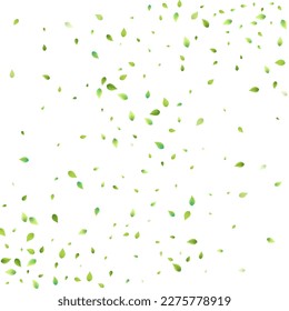 Leaves Green Falling. Spring Flying Foliage. Chaotic Leaf On White Background. Ecology Design, Nature Elements. Spring Sale Vector Illustration. Greenery Environment Backdrop.