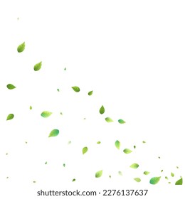 Leaves Green Falling. Spring Flying Foliage. Chaotic Leaf On White Background. Ecology Design, Nature Elements. Spring Sale Vector Illustration. Greenery Environment Backdrop.