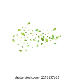 Leaves Green Falling. Spring Flying Foliage. Chaotic Leaf On White Background. Ecology Design, Nature Elements. Spring Sale Vector Illustration. Greenery Environment Backdrop.