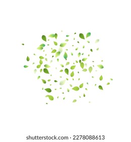 Leaves Green Falling. Spring Flying Foliage. Chaotic Leaf On White Background. Ecology Design, Nature Elements. Spring Sale Vector Illustration. Greenery Environment Backdrop.