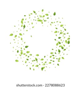 Leaves Green Falling. Spring Flying Foliage. Chaotic Leaf On White Background. Ecology Design, Nature Elements. Spring Sale Vector Illustration. Greenery Environment Backdrop.