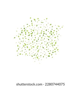 Leaves Green Falling. Spring Flying Foliage. Chaotic Leaf On White Background. Ecology Design, Nature Elements. Spring Sale Vector Illustration. Greenery Environment Backdrop.