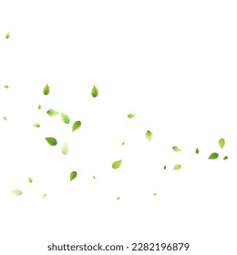 Leaves Green Falling. Spring Flying Foliage. Chaotic Leaf On White Background. Ecology Design, Nature Elements. Spring Sale Vector Illustration. Greenery Environment Backdrop.